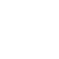 LinkedIn icon